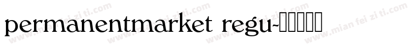 permanentmarket regu字体转换
